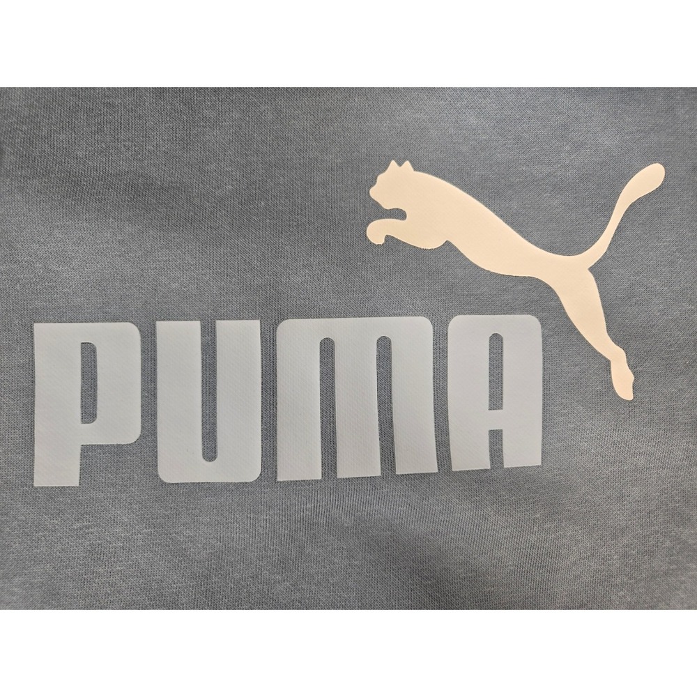 Puma Essentials 2 Color Logo Hoodie Cool Blue Fleece Pullover 690910 34 XXL - Picture 14 of 14